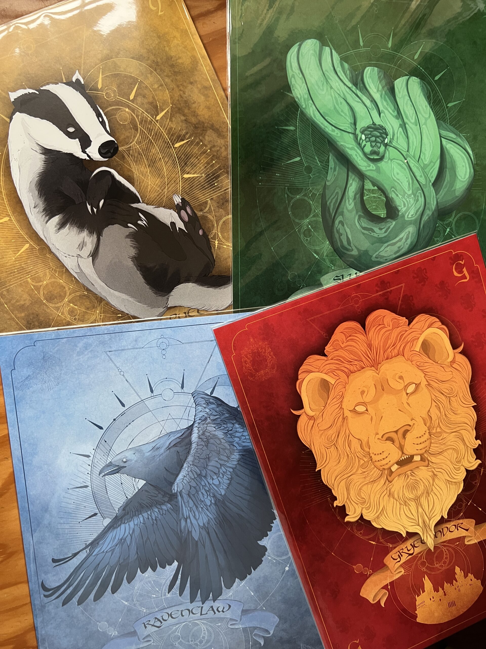Pack Harry Potter: Las Cuatro Casas de Hogwarts - Imagen 6