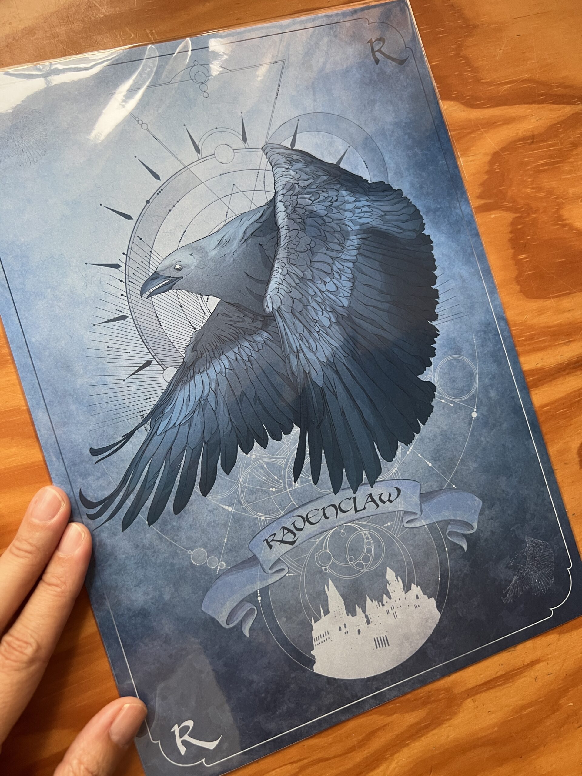 Pack Harry Potter: Las Cuatro Casas de Hogwarts - Imagen 4