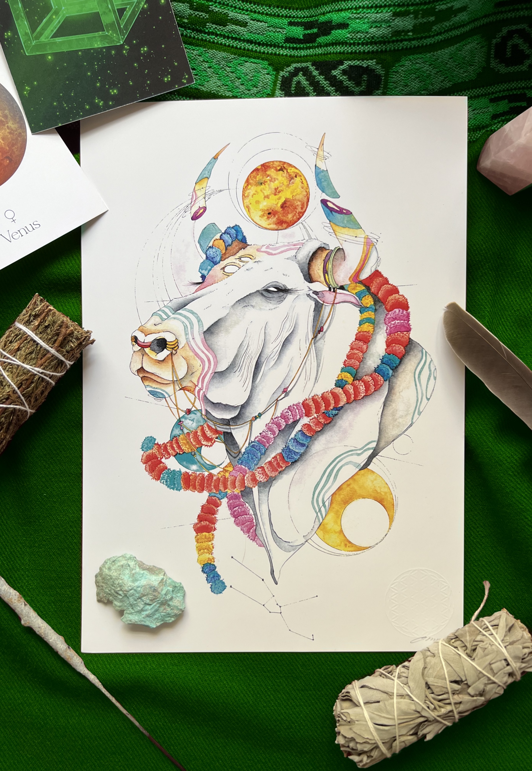 ♉️TAURO, la Tierra firme🍀