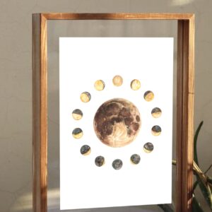 El ciclo de Selene